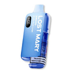 Load image into Gallery viewer, Lost Mary BM6000 Disposable Vape
