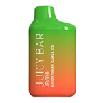 Load image into Gallery viewer, Juicy Bar 600 Puffs Disposable Vape
